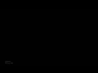 wanz-110