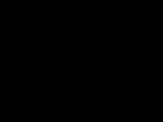 dv-1304