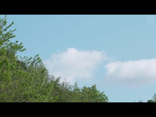 dldss-558